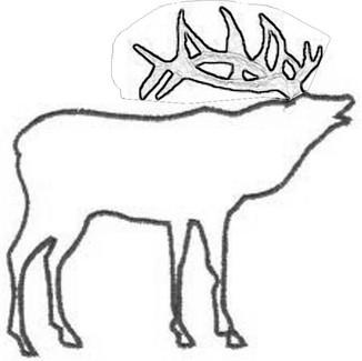 elk saw pattern